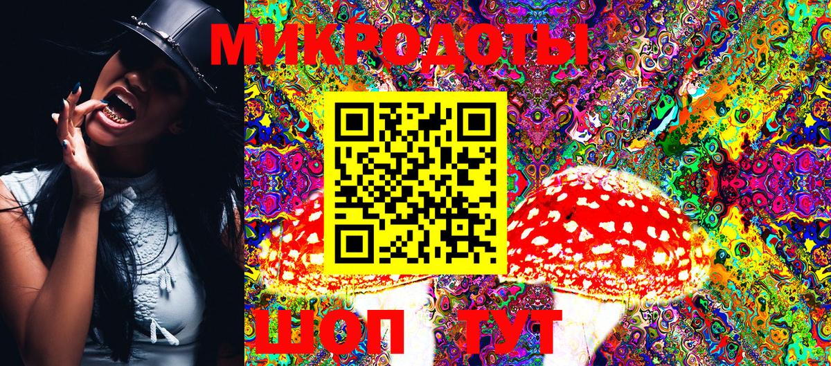 Псилоцибиновые грибы Psilocybine cubensis  Галлюциногенные грибы мицелий  Лениногорск  Вход с VPN 